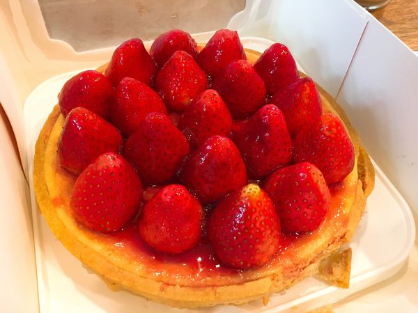 佳樂草莓乳酪派-4.JPG
