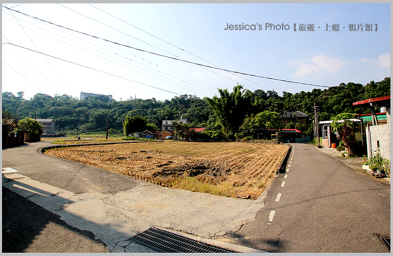 桃園龍潭●三坑老街●阿香菜包/阿秋姨牛汶水/59號的冰滴咖啡/江夏堂/永福宮