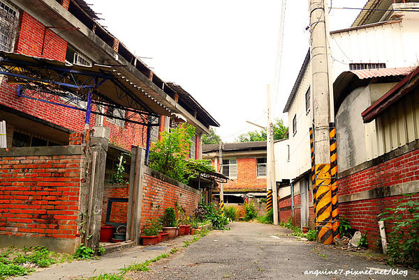 P1140305拷貝 P1140305拷貝