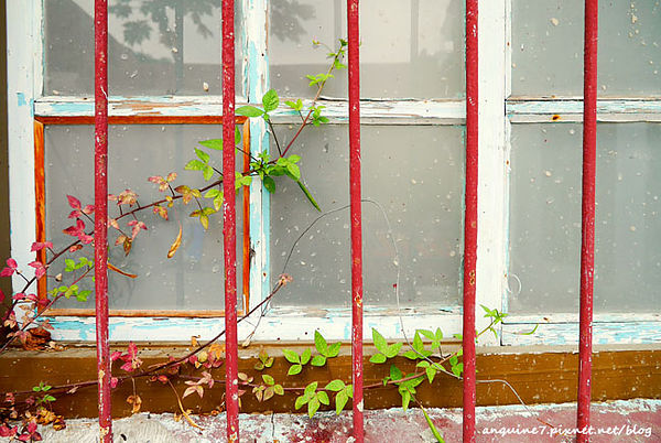 P1140299拷貝 P1140299拷貝