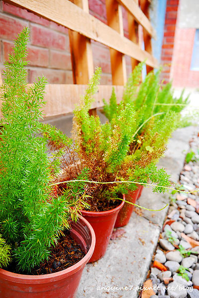 P1140318拷貝 P1140318拷貝