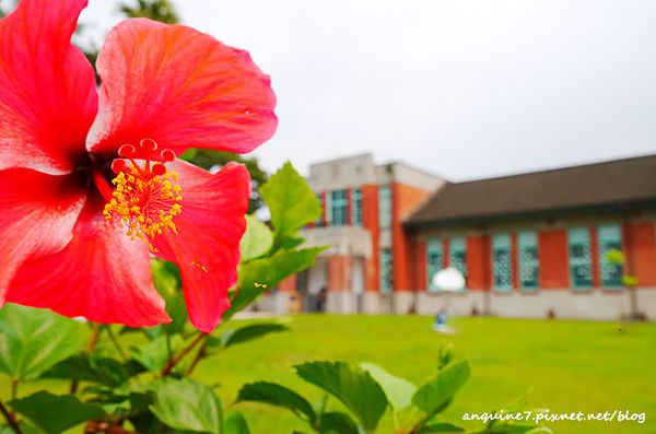 P1140282拷貝 P1140282拷貝