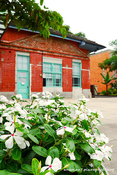 P1140274拷貝 P1140274拷貝