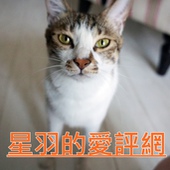 BIG BITE比格拜特：※ BIG BITE! 比格拜特 ※【星羽愛美食-宅配】暖心禮物最佳選擇~超療癒漂浮貓咪棉花糖，可愛到忍不住想尖叫，想看貓咪舒服泡湯嗎~？