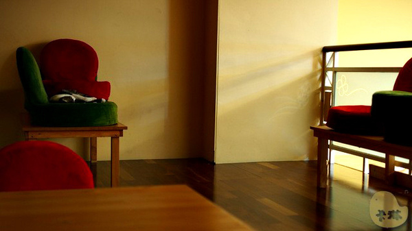 這裡有貓 caf'e：【食記】台中。《這裡有貓 caf'e》超可愛貓拉花！