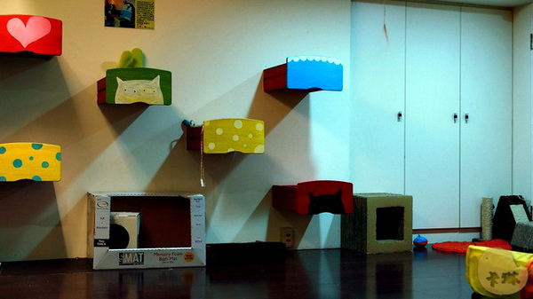 這裡有貓 caf'e：【食記】台中。《這裡有貓 caf'e》超可愛貓拉花！