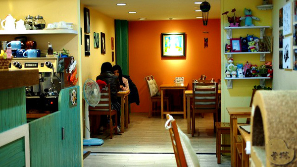 這裡有貓 caf'e：【食記】台中。《這裡有貓 caf'e》超可愛貓拉花！
