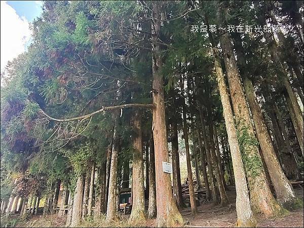 新光部落08.jpg