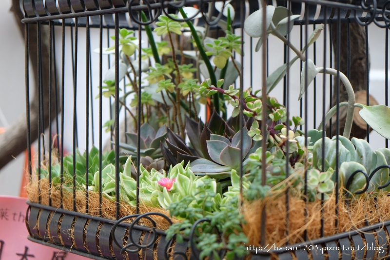 台中西區。森製菓 the Table