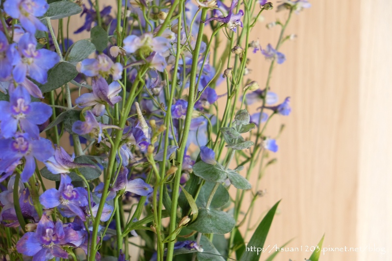 台中西區。森製菓 the Table