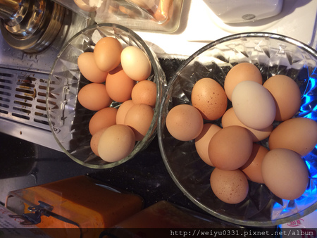 師大夜市人氣小火鍋、捷運台電大樓巷弄美食-不排隊吃不到《雲禾特調小火鍋》