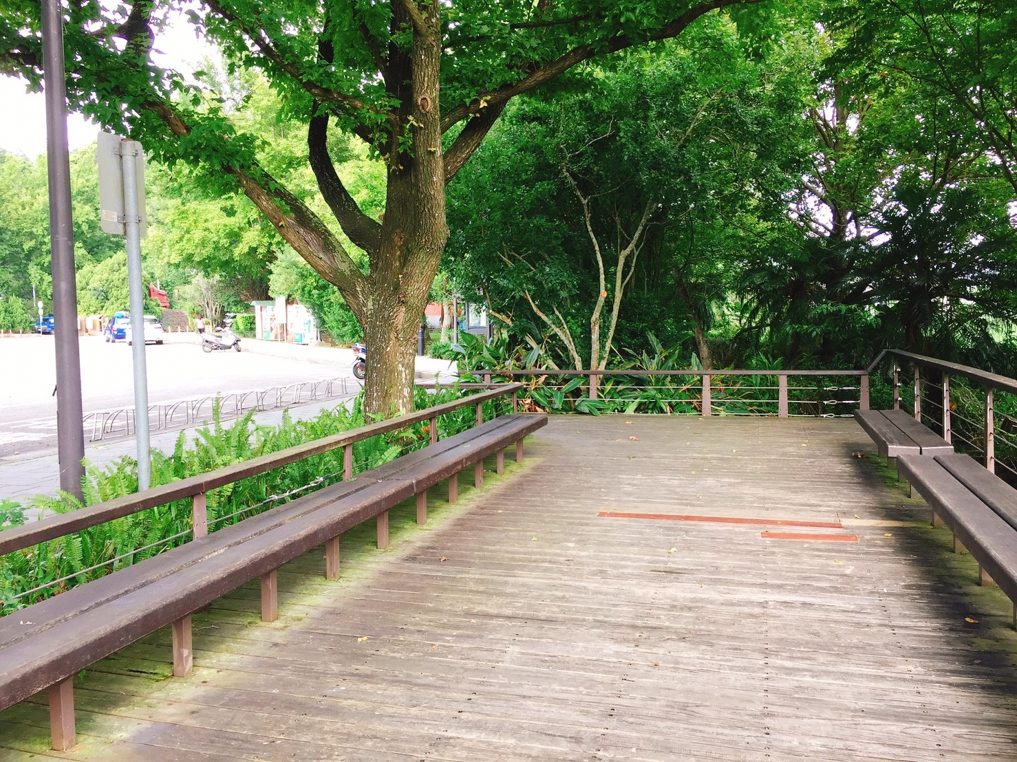 【桃園】兩蔣慈湖文化園區 碧草如茵涼風吹徐 適合當作中繼站休息片刻