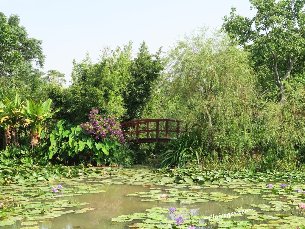 IMG_4945.JPG IMG_4945.JPG