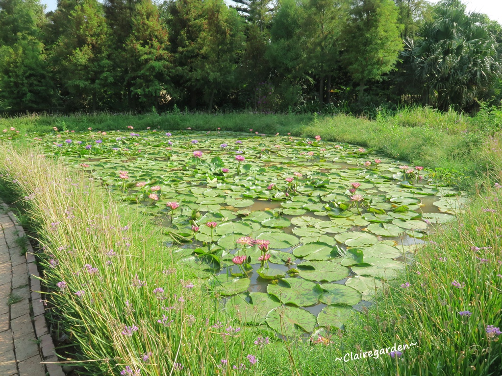 IMG_5039.JPG IMG_5039.JPG