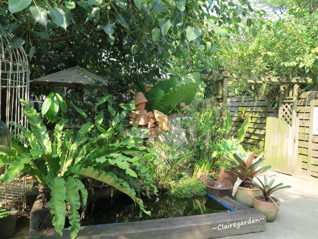 IMG_5068.JPG IMG_5068.JPG