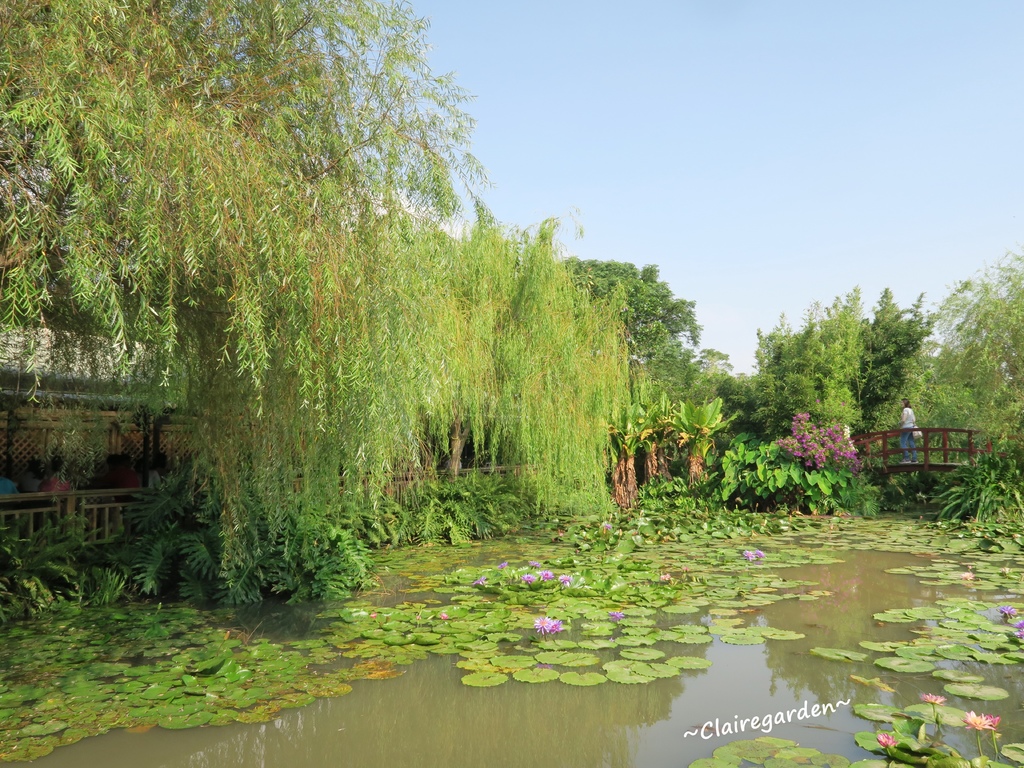 IMG_5016.JPG IMG_5016.JPG