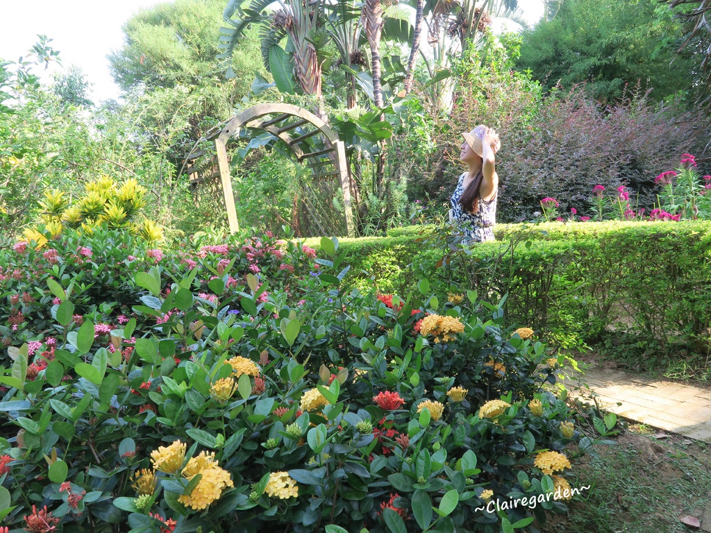 IMG_5104.JPG IMG_5104.JPG