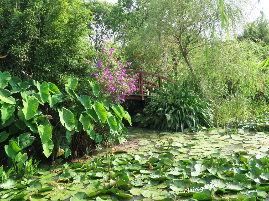 IMG_5027.JPG IMG_5027.JPG