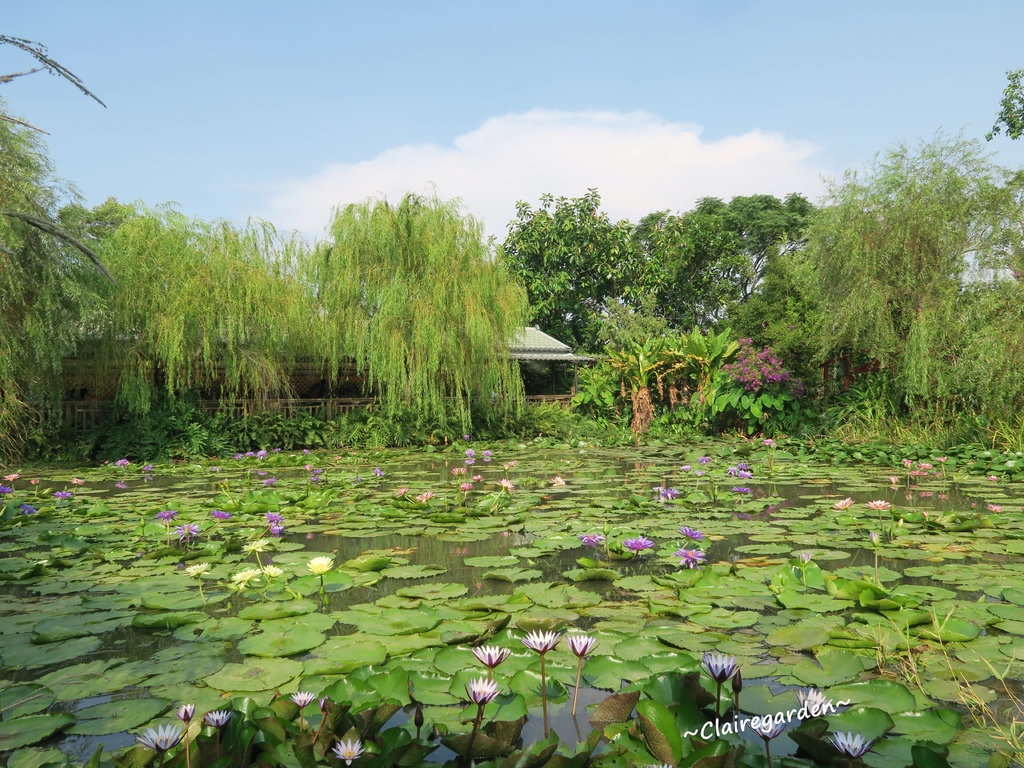 IMG_5051.JPG IMG_5051.JPG