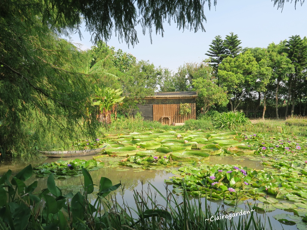 IMG_5036.JPG IMG_5036.JPG