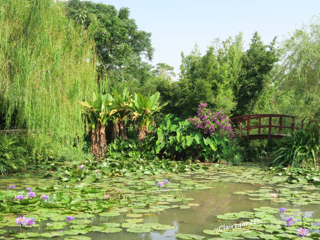 IMG_4949.JPG IMG_4949.JPG