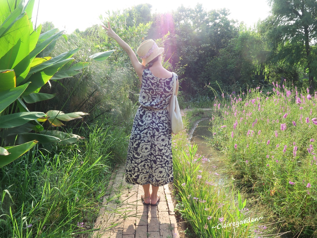 IMG_5112.JPG IMG_5112.JPG