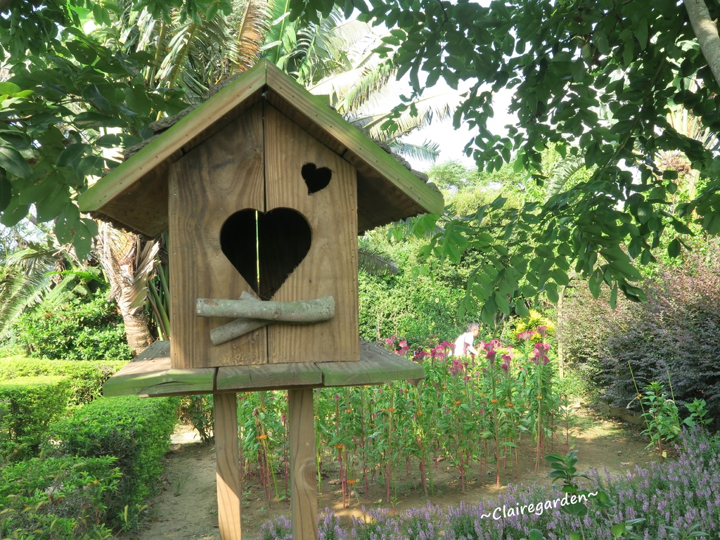 IMG_5045.JPG IMG_5045.JPG