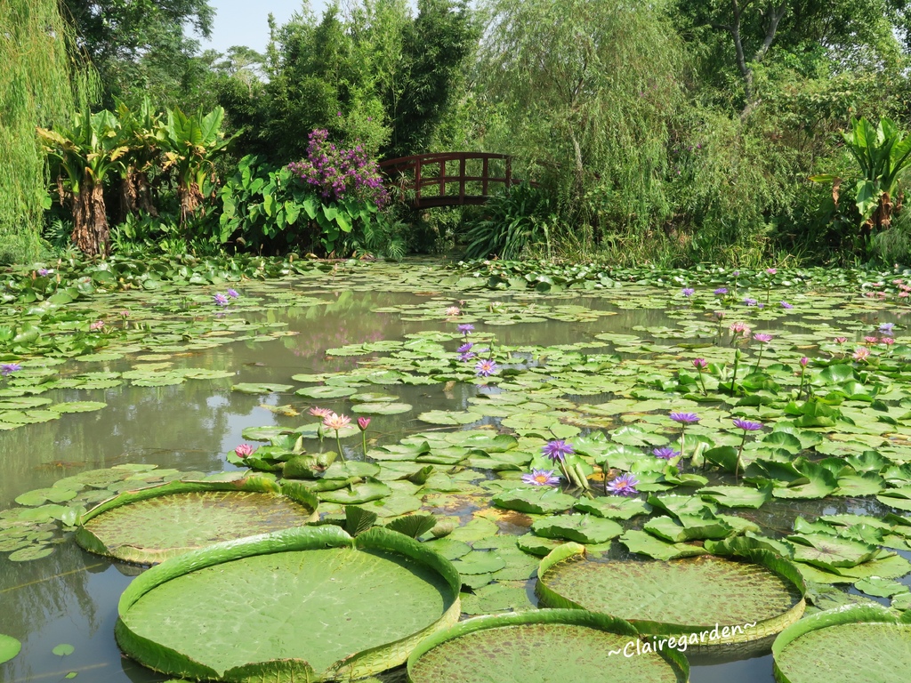 IMG_4937.JPG IMG_4937.JPG