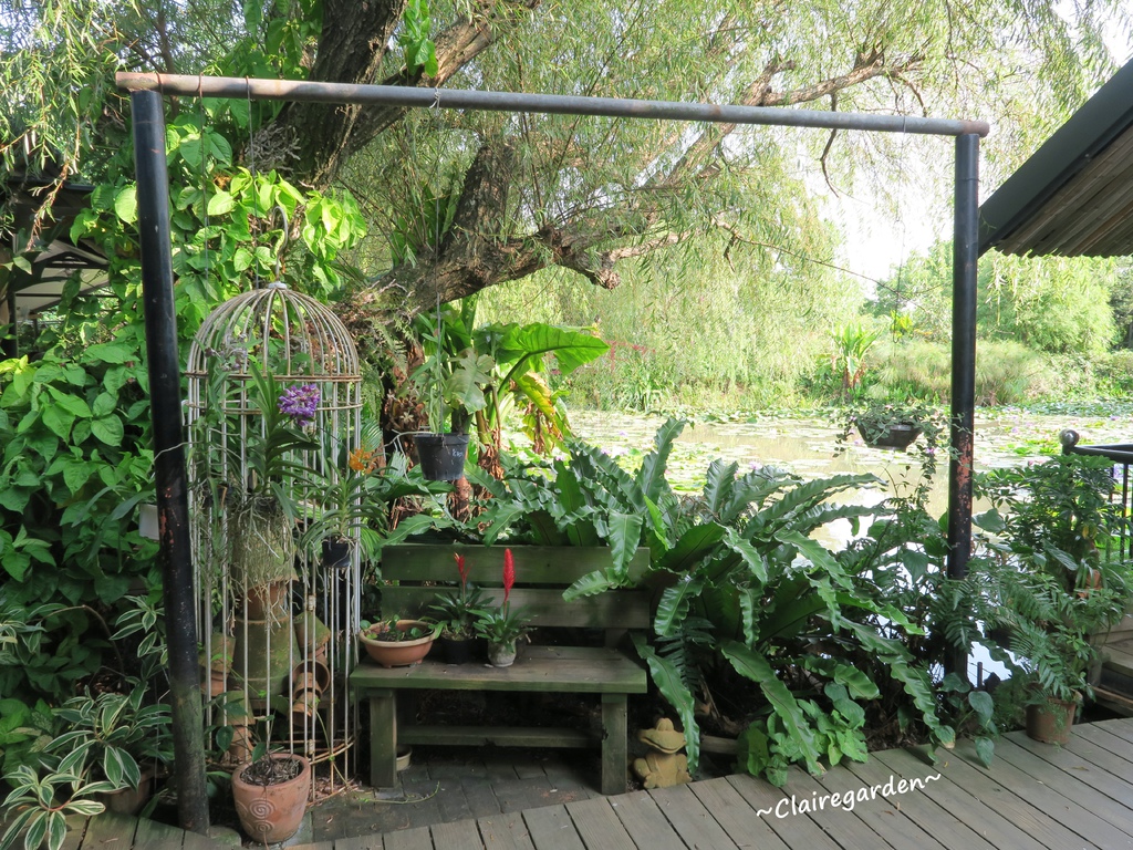 IMG_5087.JPG IMG_5087.JPG