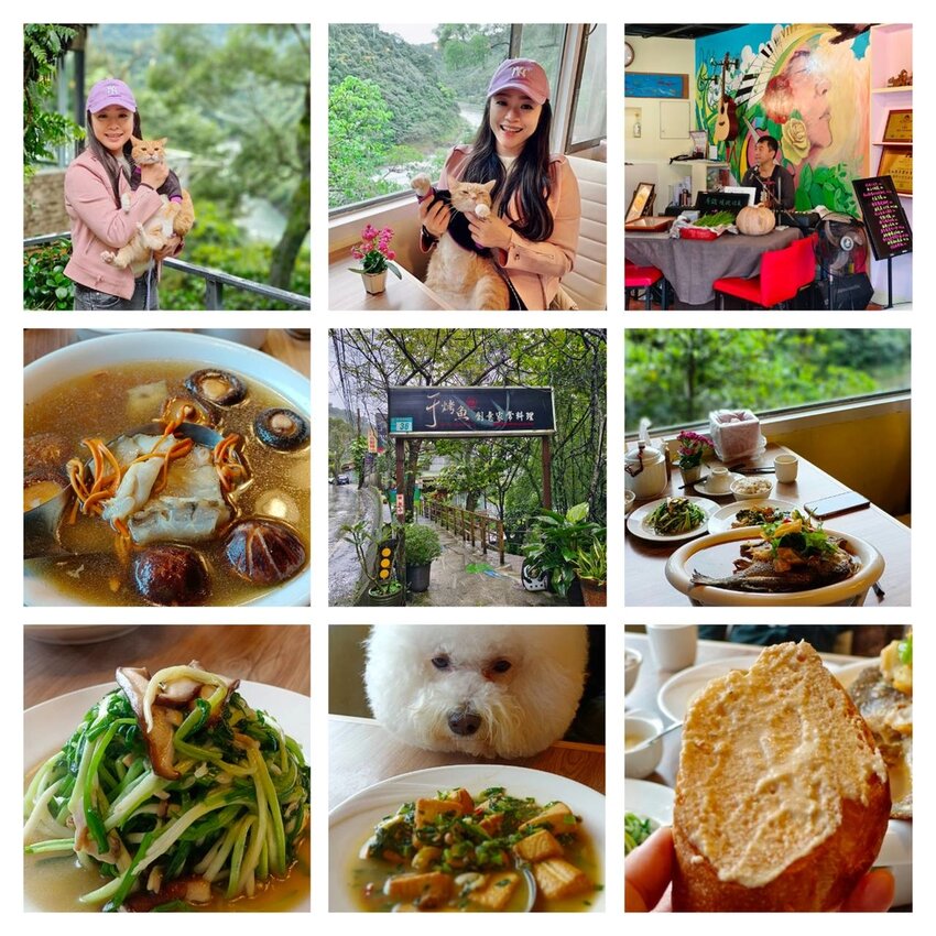 【新北.烏來】于烤魚家常創意料理。于冠華現場隨意駐唱。寵物友善+烤魚+魚子醬法式麵包+于家豆腐