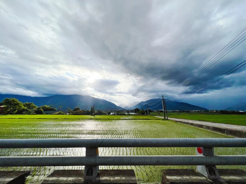 台東池上｜家鄉正宗池上飯包 池上便當我只推薦這家(2022/8月造訪)