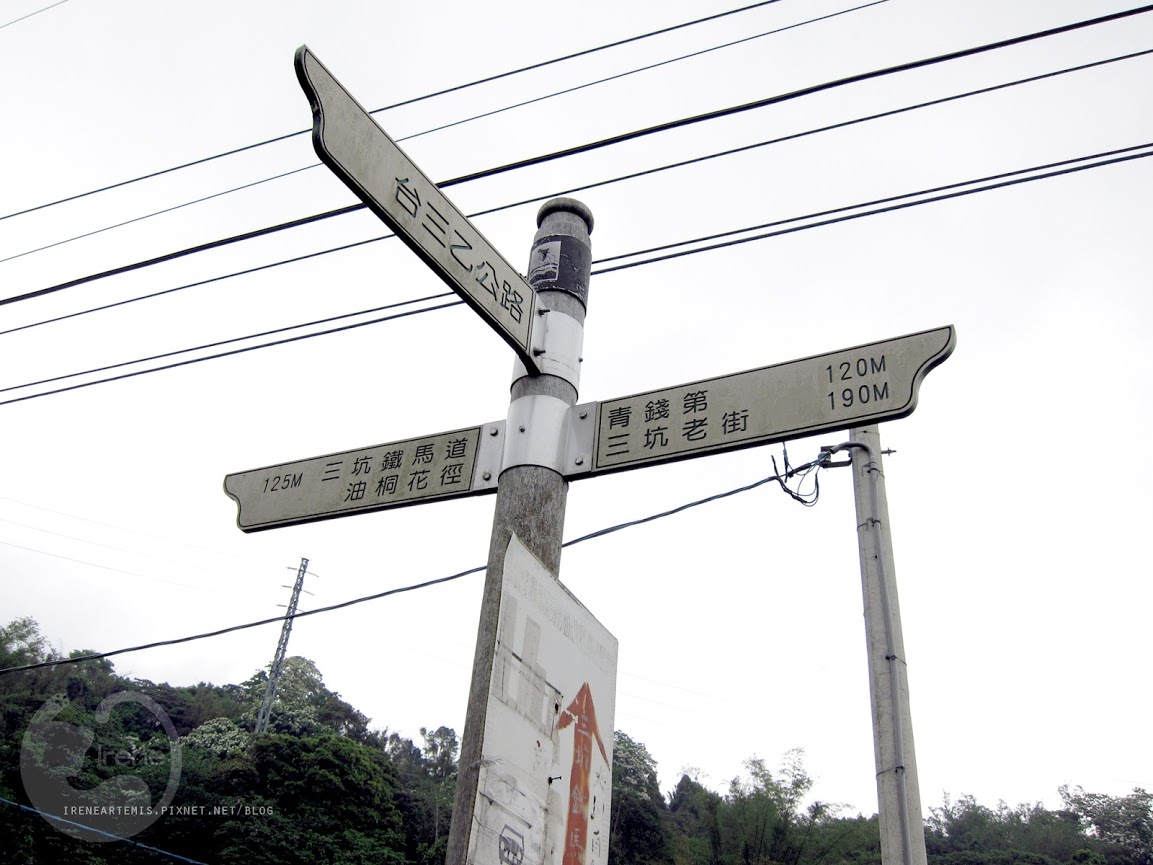 桃園景點 | 遊三坑老街賞 桐花 ．原來雨天也是賞桐天 / 石門大圳自行車路線賞桐 / 可搭乘台灣好行
