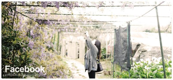 Facebook Link BANNER-01