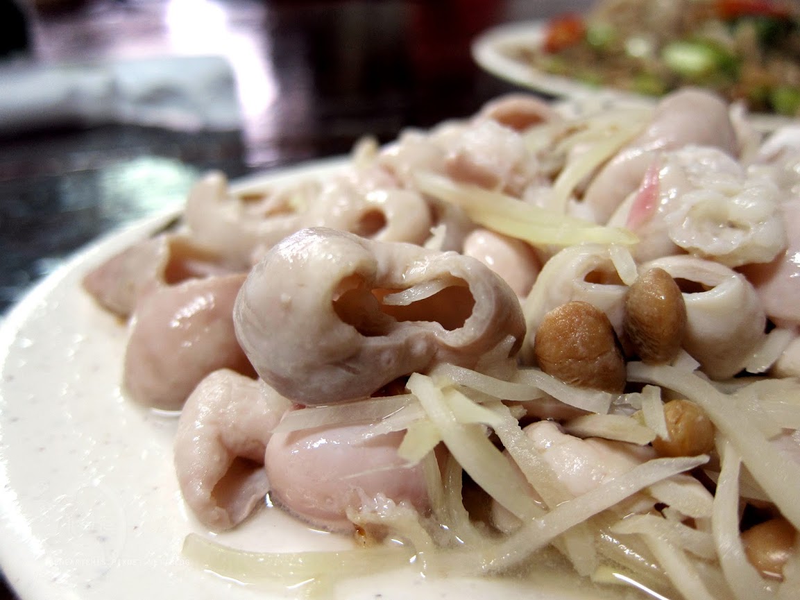 桃園景點 | 遊三坑老街賞 桐花 ．原來雨天也是賞桐天 / 石門大圳自行車路線賞桐 / 可搭乘台灣好行