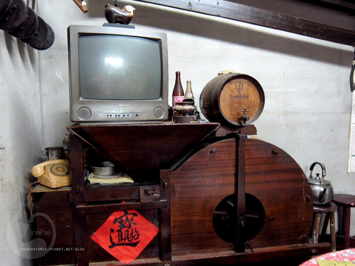 桃園景點 | 遊三坑老街賞 桐花 ．原來雨天也是賞桐天 / 石門大圳自行車路線賞桐 / 可搭乘台灣好行