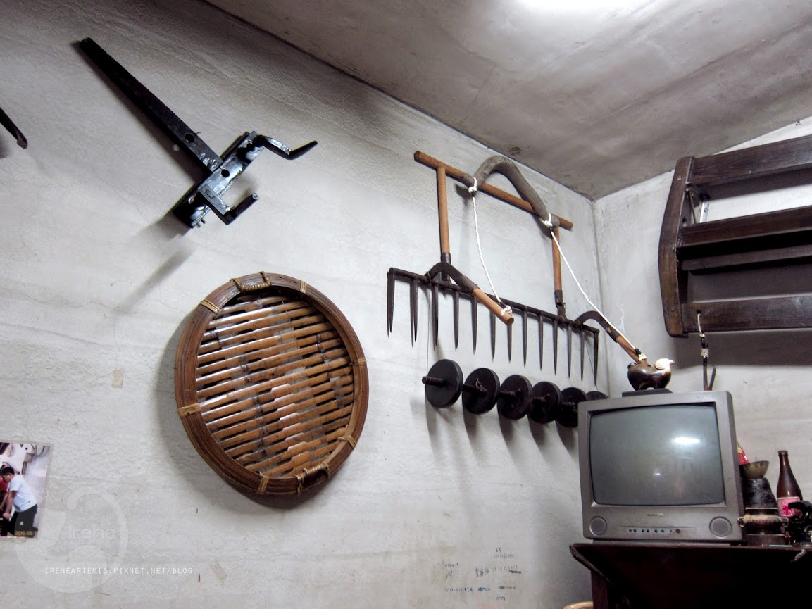 桃園景點 | 遊三坑老街賞 桐花 ．原來雨天也是賞桐天 / 石門大圳自行車路線賞桐 / 可搭乘台灣好行