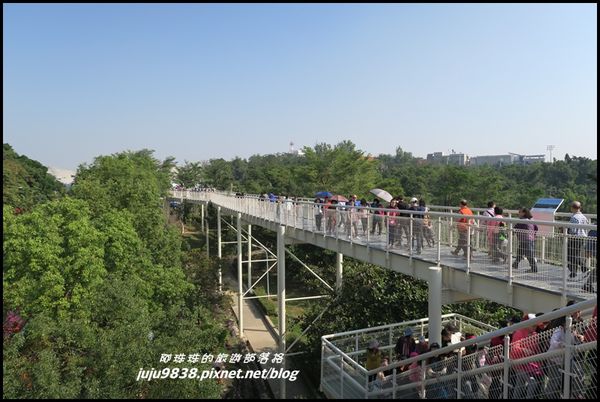 八卦山天空步道18.JPG