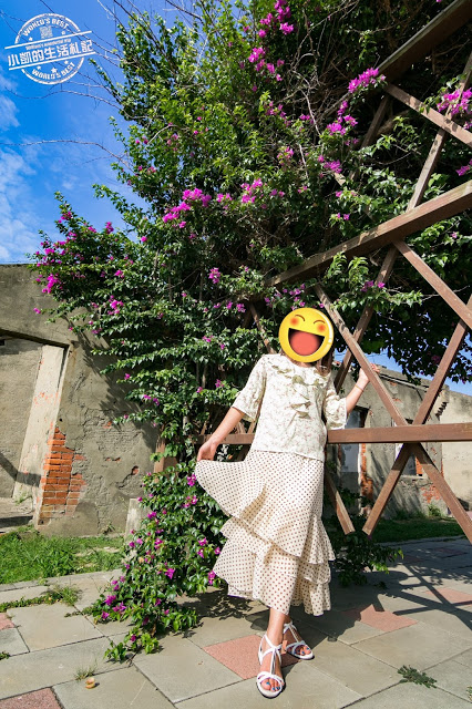 『彰化景點』忠權3D立體狗狗彩繪牆 扇形車庫 茉莉花壇夢想館 蛤蜊兵營