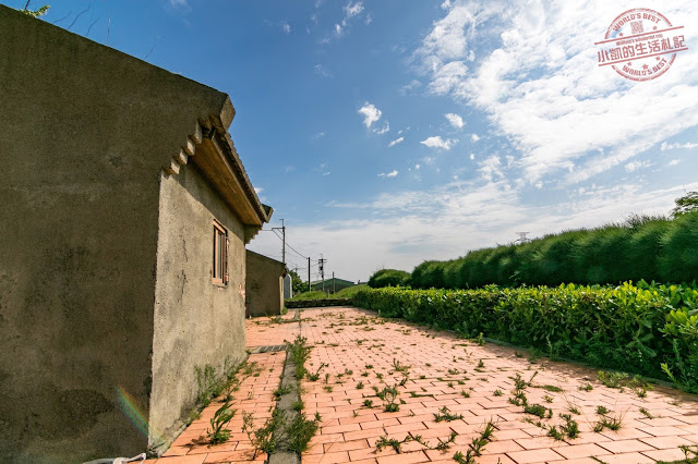 『彰化景點』忠權3D立體狗狗彩繪牆 扇形車庫 茉莉花壇夢想館 蛤蜊兵營