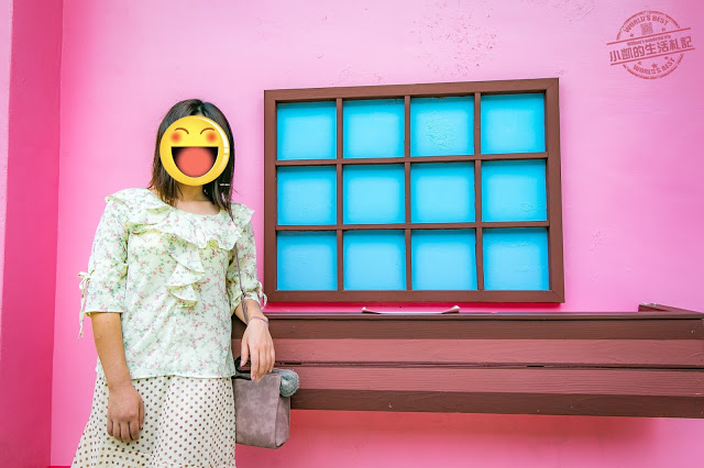 彰化一日遊 忠權3D立體狗狗彩繪牆 扇形車站 茉莉花壇夢像館 蛤蜊兵營