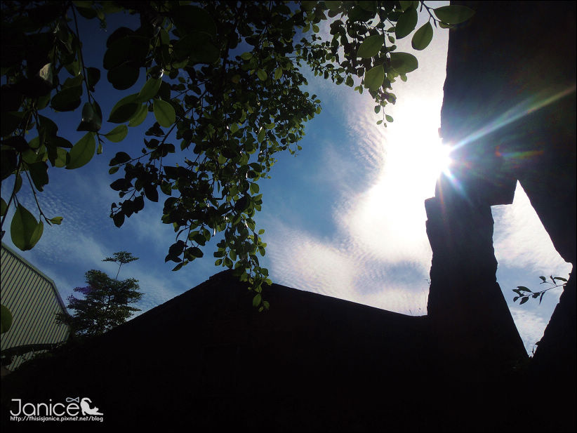 DSCN4620.JPG DSCN4620.JPG