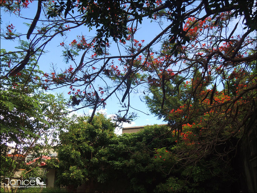 DSCN4635.JPG DSCN4635.JPG