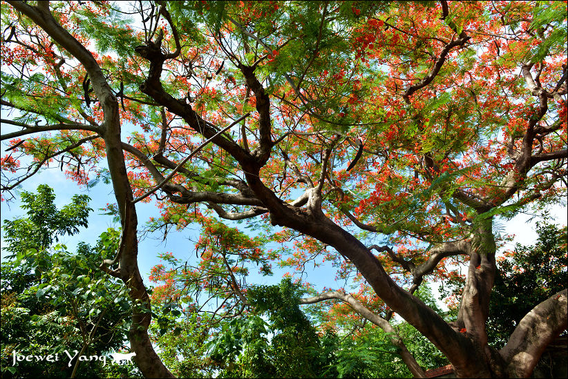 DSC_5661.JPG DSC_5661.JPG