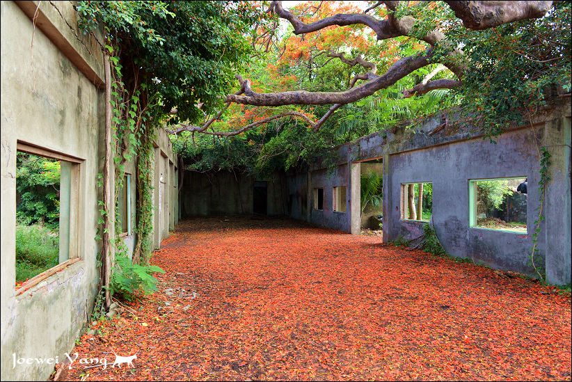 DSC_5718.JPG DSC_5718.JPG