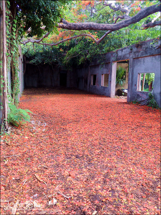 DSCN4637.JPG DSCN4637.JPG