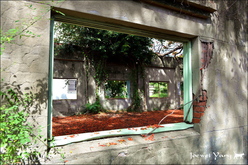 DSC_5685.JPG DSC_5685.JPG