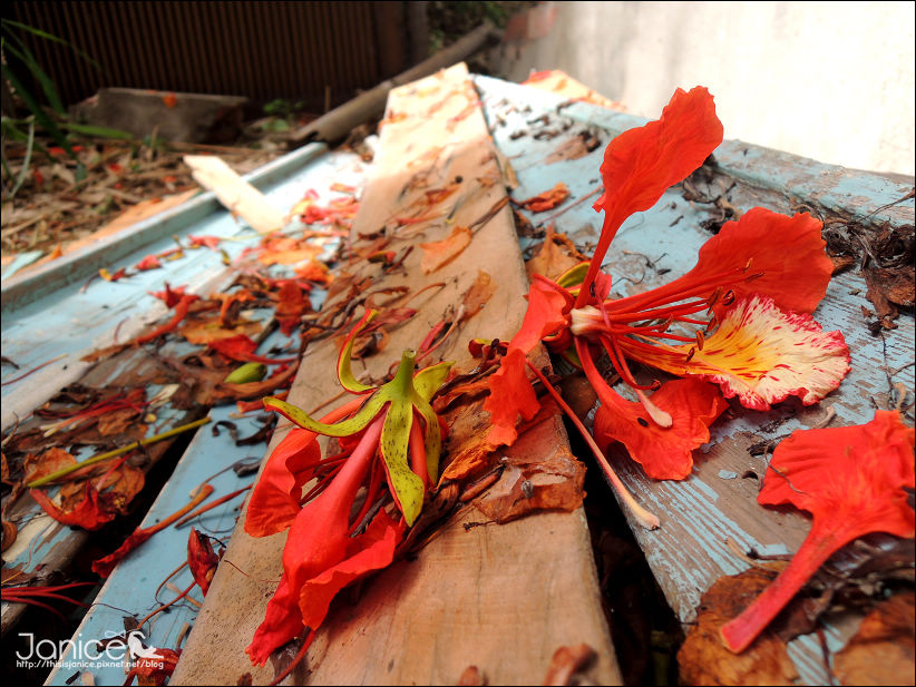 DSCN4626.JPG DSCN4626.JPG