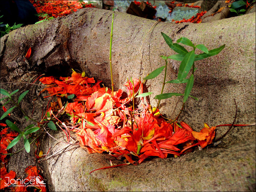 DSCN4613.JPG DSCN4613.JPG