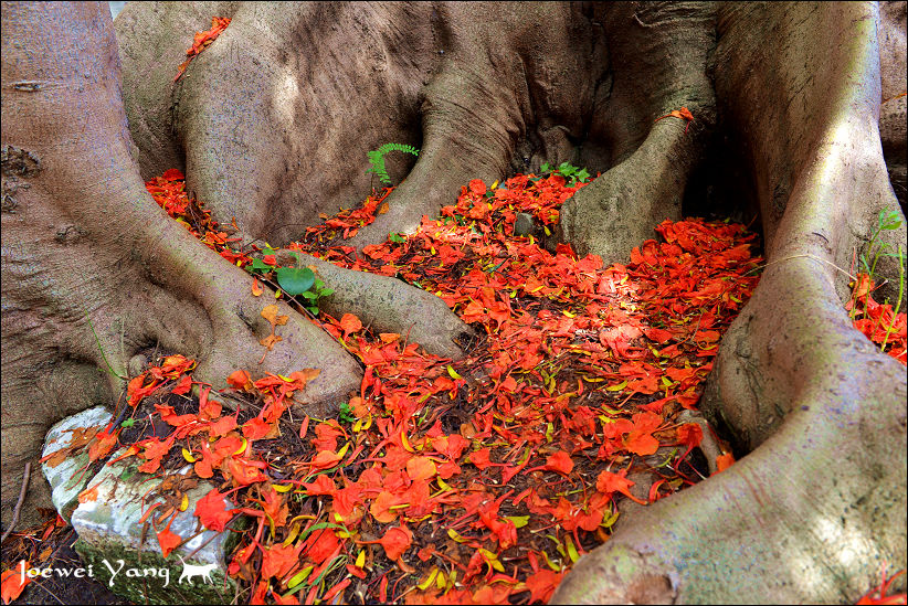 DSC_5683.JPG DSC_5683.JPG