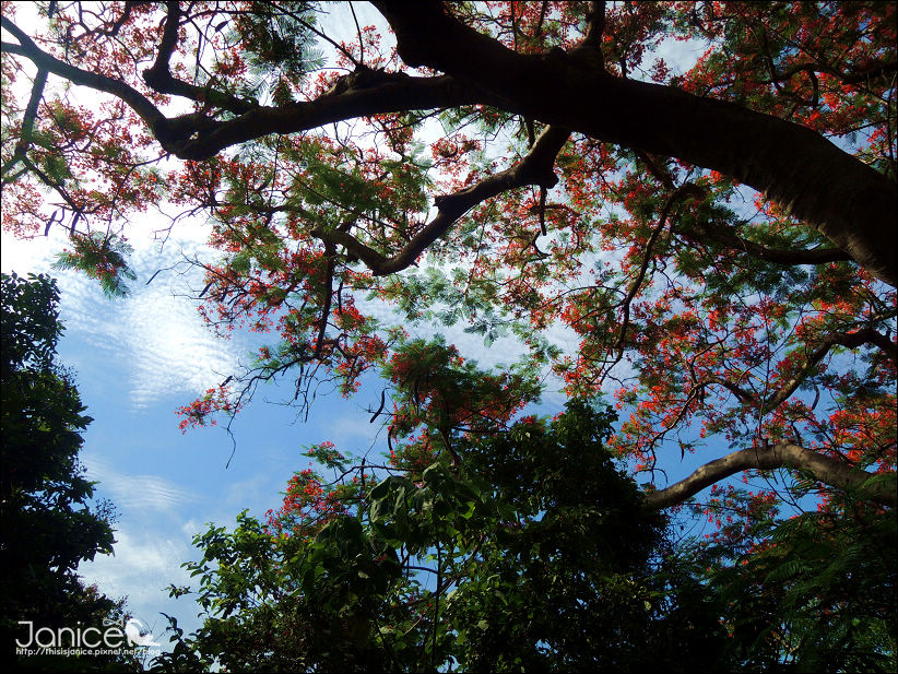 DSCN4615.JPG DSCN4615.JPG